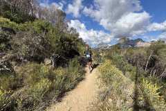 IMG_5427-copia