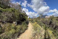 IMG_5430-copia