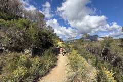 IMG_5470-copia