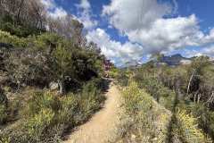 IMG_5482-copia