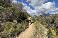 IMG_5506-copia