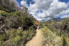 IMG_5574-copia