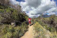 IMG_5598-copia