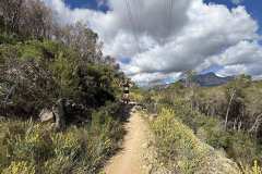 IMG_5608-copia