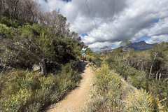 IMG_5615-copia