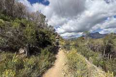 IMG_5619-copia
