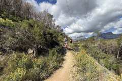 IMG_5622-copia