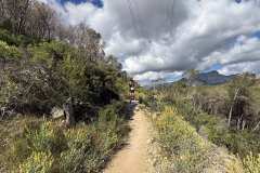 IMG_5635-copia
