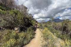 IMG_5636-copia