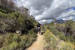 IMG_5652-copia