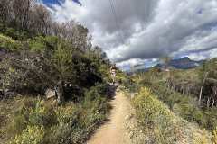 IMG_5665-copia