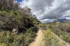 IMG_5676-copia