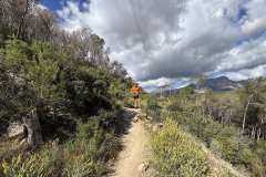 IMG_5681-copia