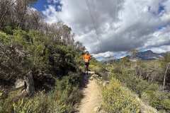 IMG_5682-copia