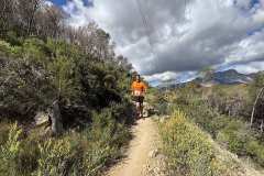 IMG_5683-copia