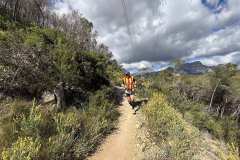 IMG_5693-copia