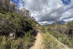 IMG_5703-copia