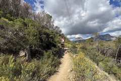 IMG_5704-copia
