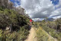IMG_5709-copia