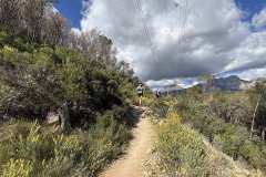 IMG_5718-copia