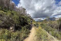 IMG_5725-copia