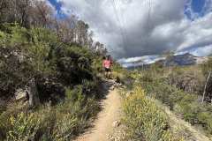 IMG_5743-copia