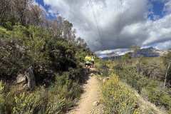 IMG_5750-copia