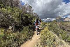 IMG_5789-copia