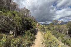IMG_5802-copia