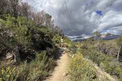 IMG_5814-copia