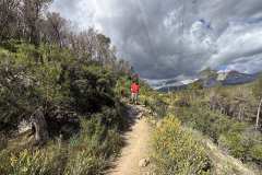 IMG_5826-copia