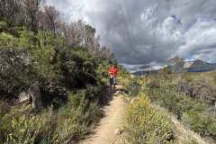 IMG_5827-copia