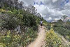 IMG_5845-copia