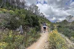 IMG_5846-copia
