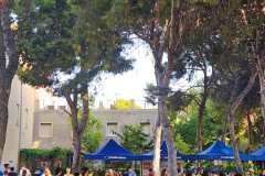 01-AREA-BASE-AMBIENTE-CROSS-AMANECER-2026_0007
